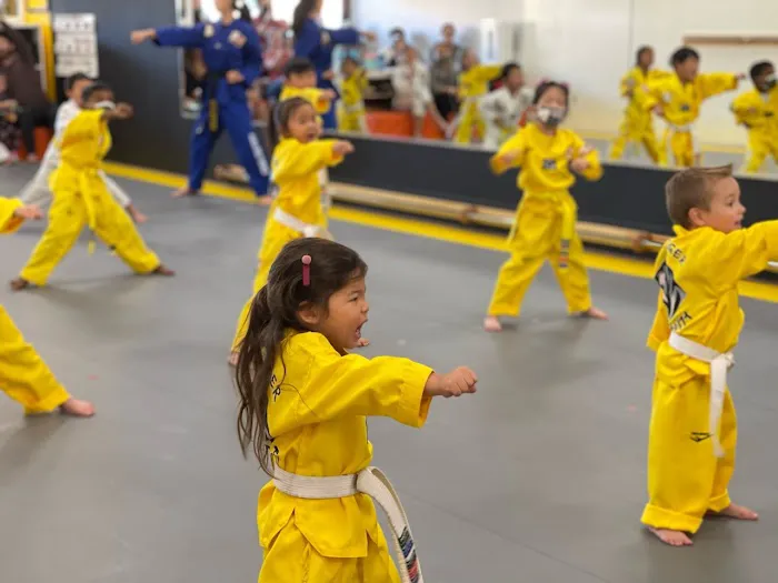 Taekwondo Family Fitness Picture 8