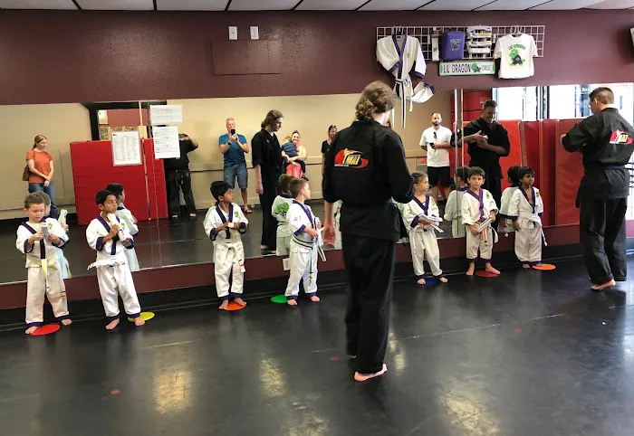 MAI - Martial Arts International Picture 1