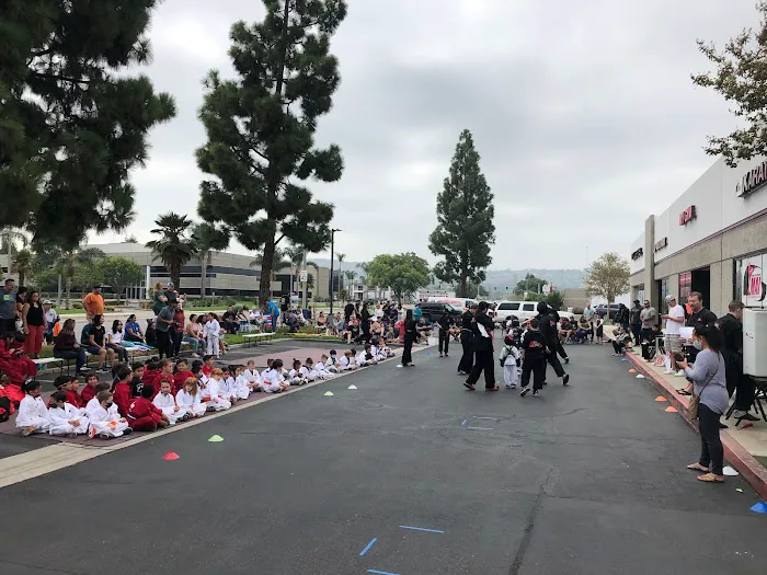 MAI - Martial Arts International Picture 2