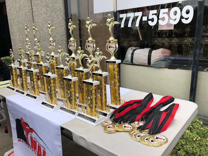 MAI - Martial Arts International Picture 9