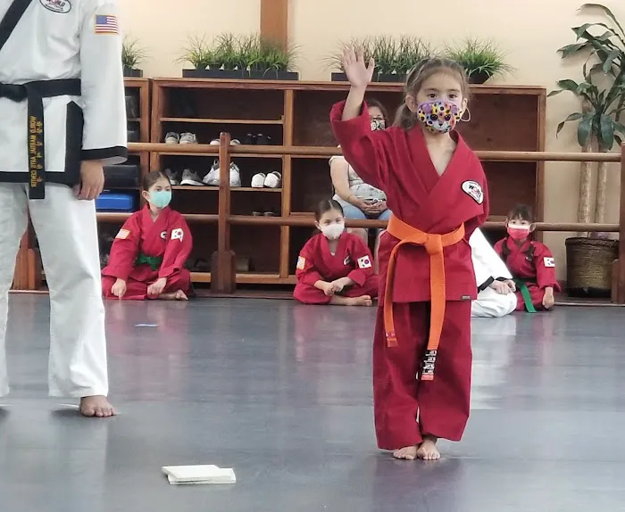 World Martial Arts Center Picture 6