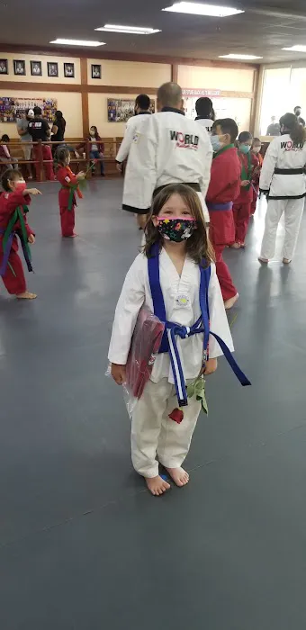 World Martial Arts Center Picture 4