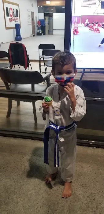 World Martial Arts Orange County Picture 5