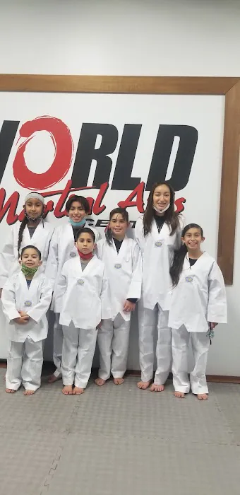 World Martial Arts Orange County Picture 4