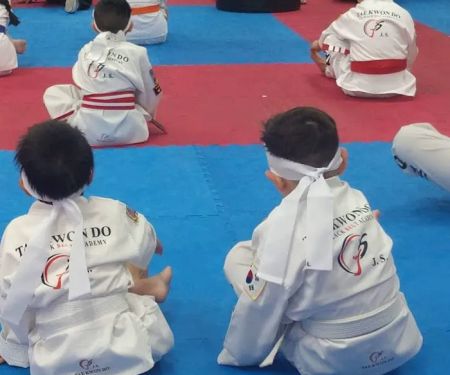 JS Black Belt Academy - Tae Kwon Do & Martial Arts