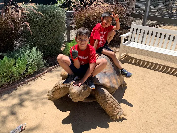 American Martial Arts Academy - Fullerton Campus - Karate, After School & Summer Camp Picture 5