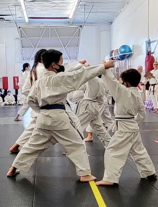 Japan Karate-Do Federation Picture 1