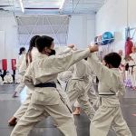 Japan Karate-Do Federation