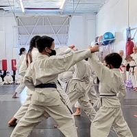 Japan Karate-Do Federation ico