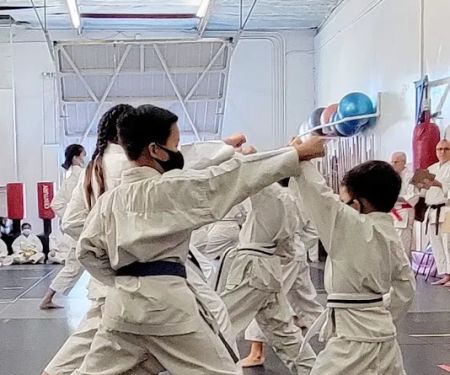 Japan Karate-Do Federation