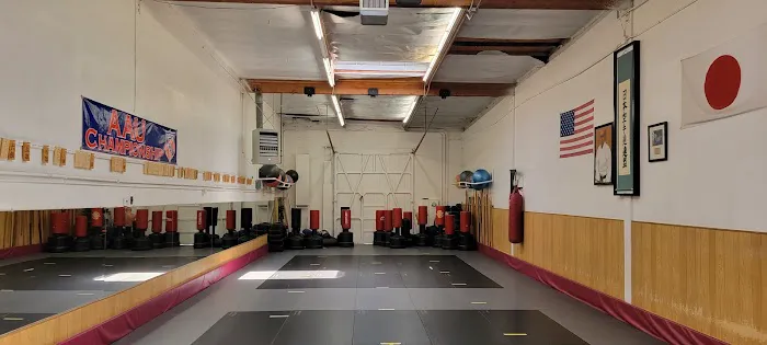 Japan Karate-Do Federation Picture 9