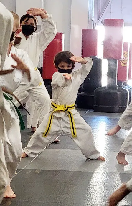 Japan Karate-Do Federation Picture 6