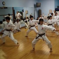 Orange County Japan Karate Association ico
