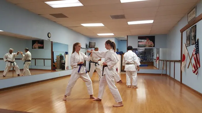 Orange County Japan Karate Association Picture 10