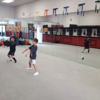 Z-Ultimate Self Defense Studios Laguna Niguel ico