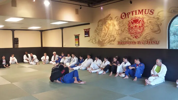 Optimus Brazilian Jiu-Jitsu Picture 5