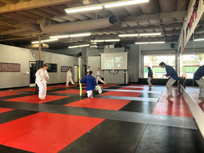 San Juan Taekwondo Picture 7