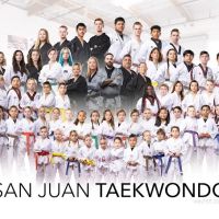 San Juan Taekwondo ico