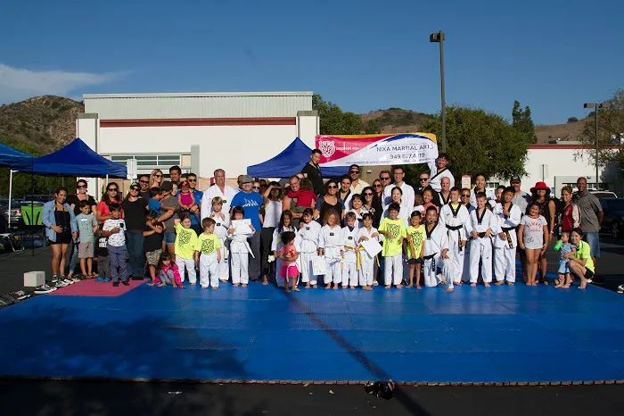 Nixa Martial Arts Institute Picture 4