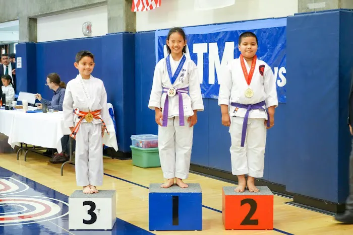 USA Wado Ryu Karate Picture 4