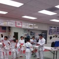 USA Wado Ryu Karate ico