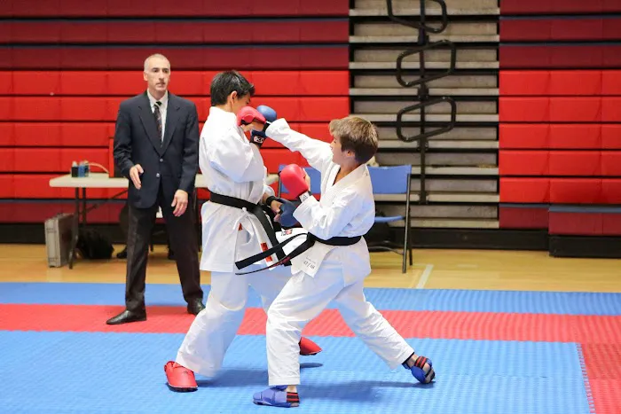 USA Wado Ryu Karate Picture 2