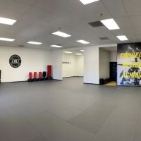 Level 3 Martial Arts Performance - Kempo Kickboxing Jiu-Jitsu ico