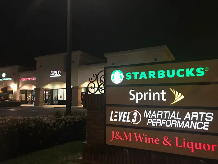 Level 3 Martial Arts Performance - Kempo Kickboxing Jiu-Jitsu Picture 2