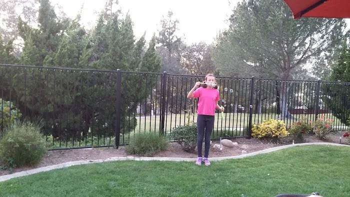 Club TKD Martial Arts Picture 5