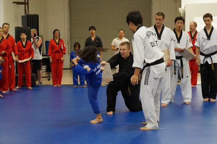 Club TKD Martial Arts Picture 4