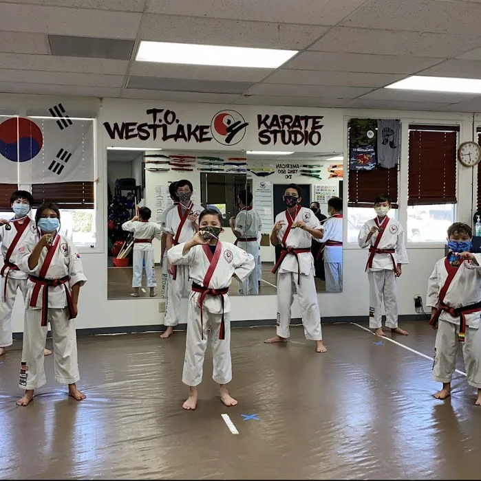 T.O.Westlake Karate Studio Picture 9