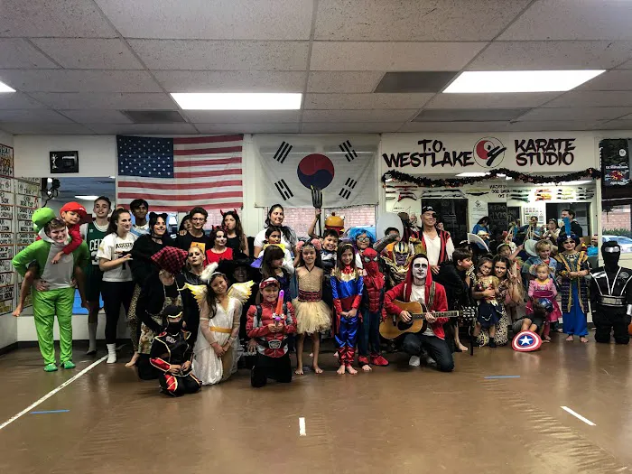 T.O.Westlake Karate Studio Picture 4