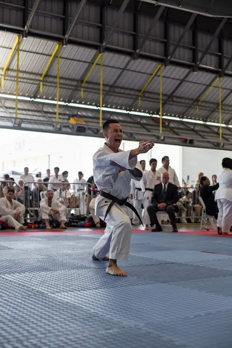 T.O.Westlake Karate Studio Picture 5