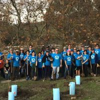 Fathom Martial Arts ico