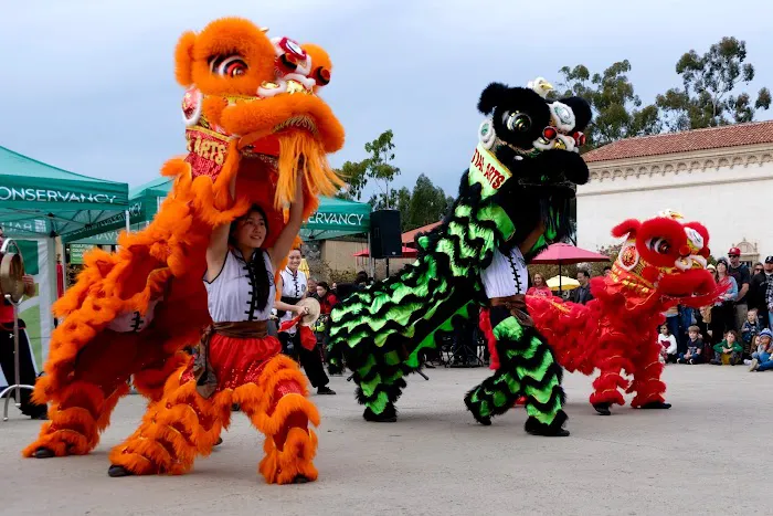 White Dragon Martial Arts - Clairemont (San Diego) Picture 10