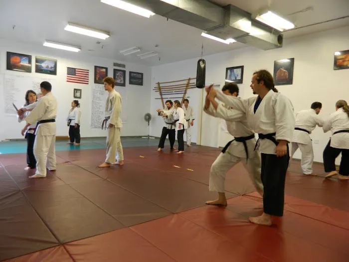 Santa Barbara Jujitsu Kai Picture 3