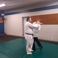 Santa Barbara Jujitsu Kai ico