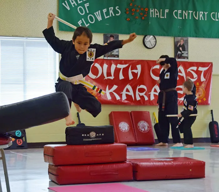 SOUTH COAST KARATE Picture 4