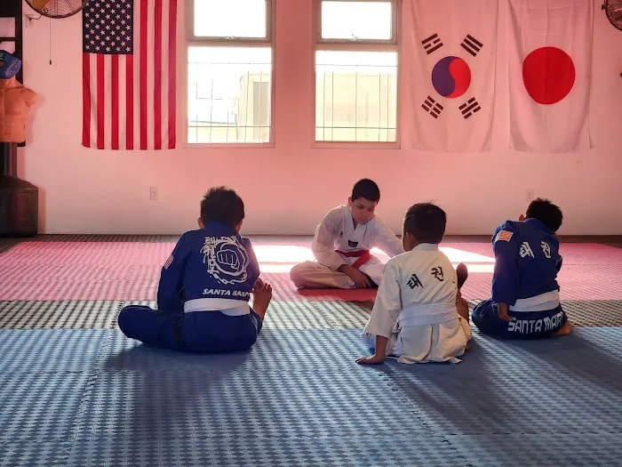 Santa Maria Taekwondo & Judo Academy Picture 3