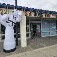 S.H. Hong Taekwondo Academy ico