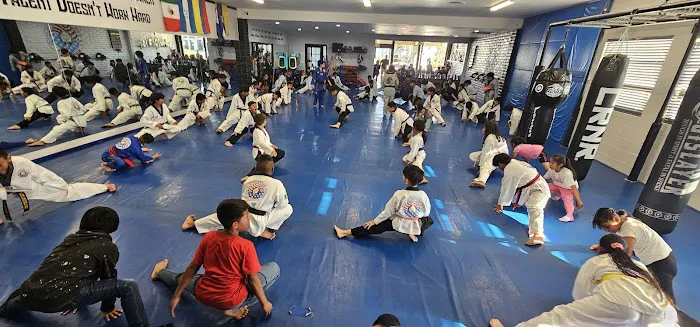 S.H. Hong Taekwondo Academy Picture 3