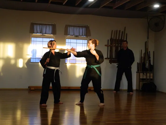 Rising Sun Martial Arts Academy Picture 2