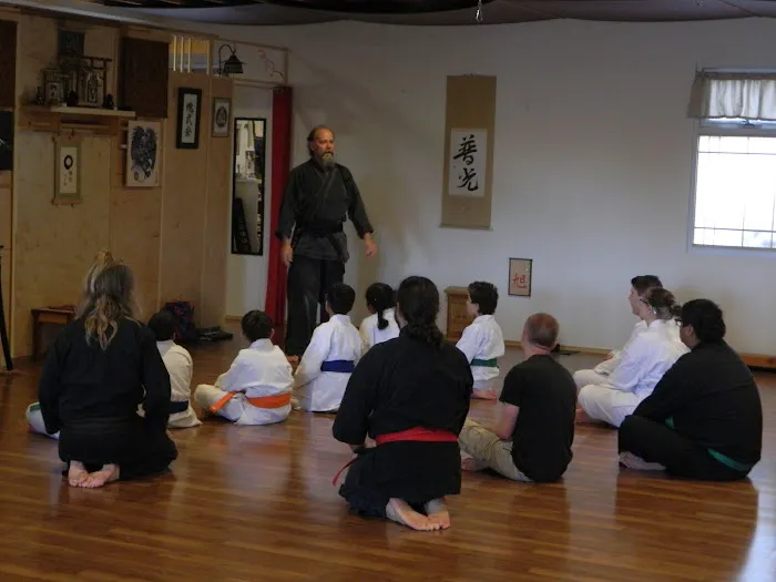 Rising Sun Martial Arts Academy Picture 5