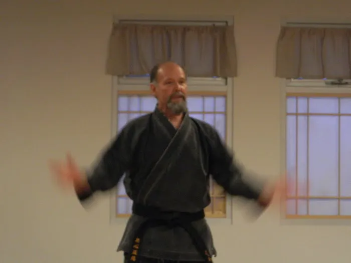 Rising Sun Martial Arts Academy Picture 1