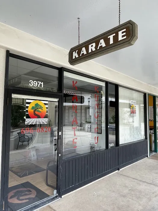 Karate Santa Barbara - United Studios of Self Defense Picture 4