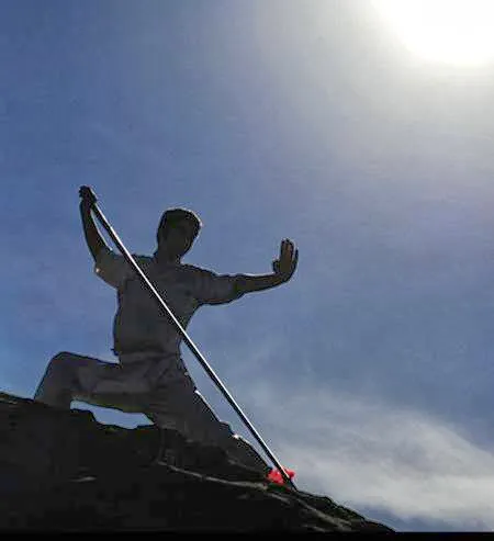 JING Institute of Chinese Martial Arts & Culture, and JING Kids After-School Picture 6