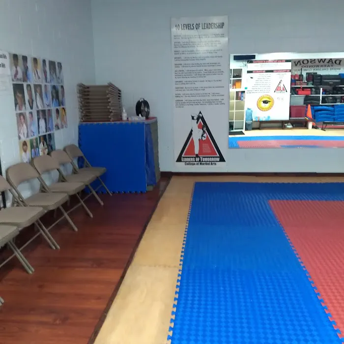 Leaders of Tomorrow College of Martial Arts Picture 2