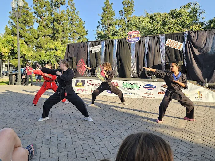 TRAD AM KARATE Picture 4