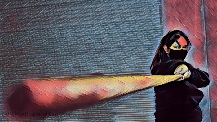 White Dragon Martial Arts of East County Picture 4