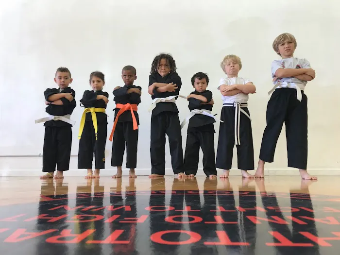 James Martial Arts Academy Picture 1